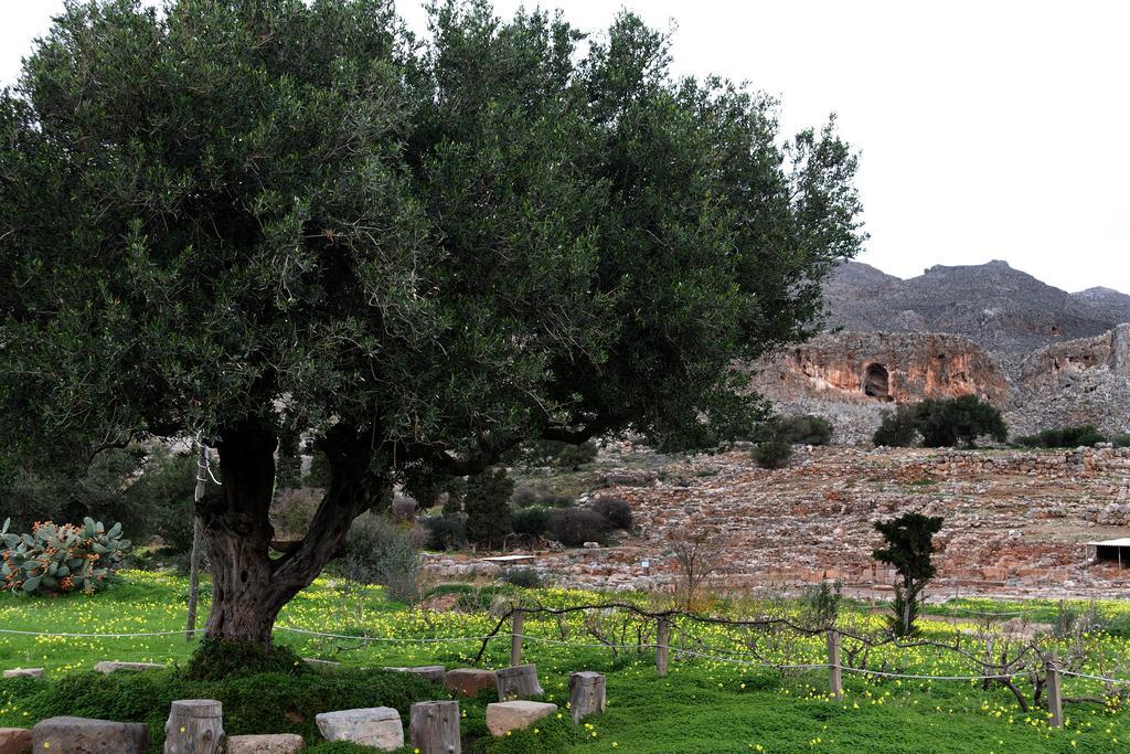 Villa Kalliopi Ιncreteble Cretan Resindences Collection Xerokampos  Eksteriør billede