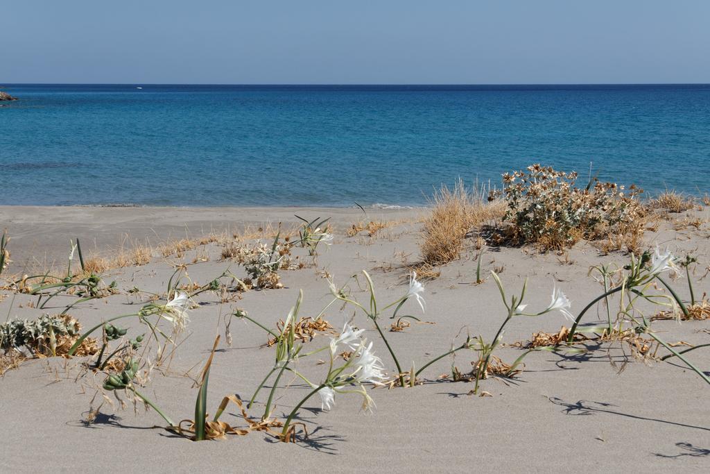 Villa Kalliopi Ιncreteble Cretan Resindences Collection Xerokampos  Eksteriør billede