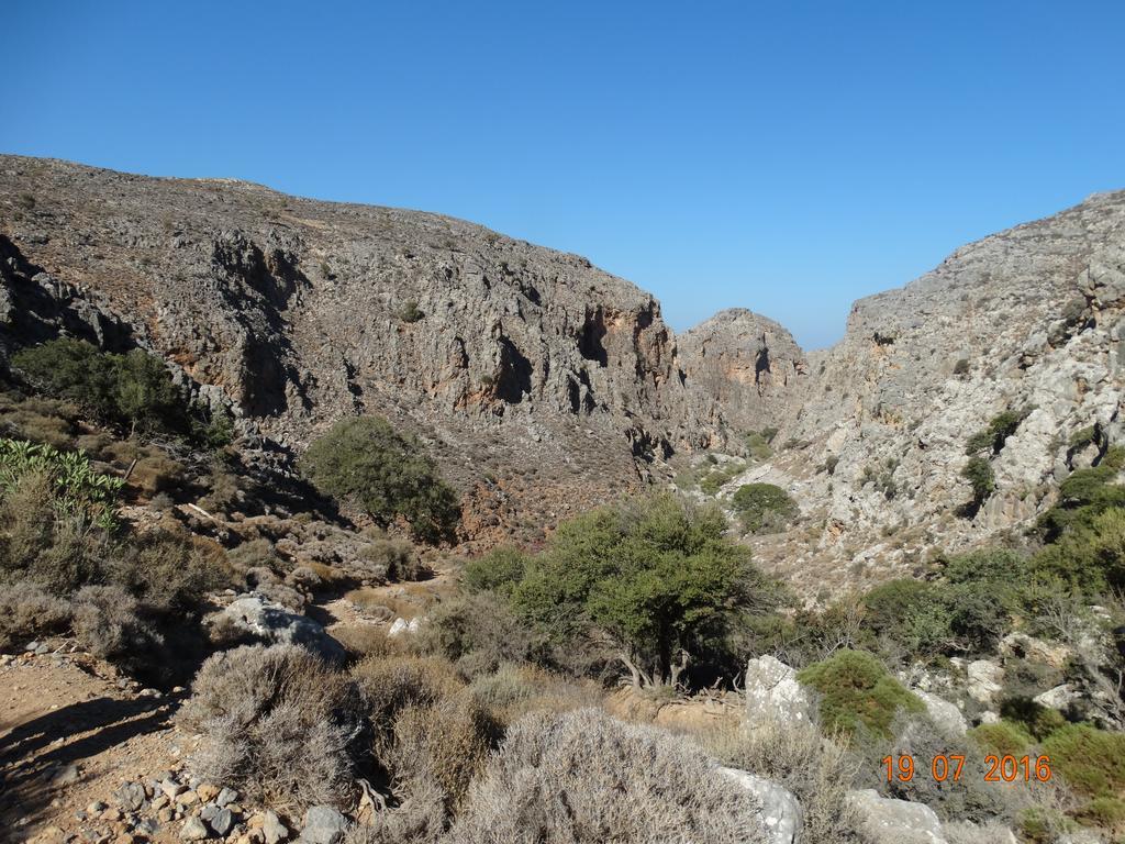 Villa Kalliopi Ιncreteble Cretan Resindences Collection Xerokampos  Eksteriør billede