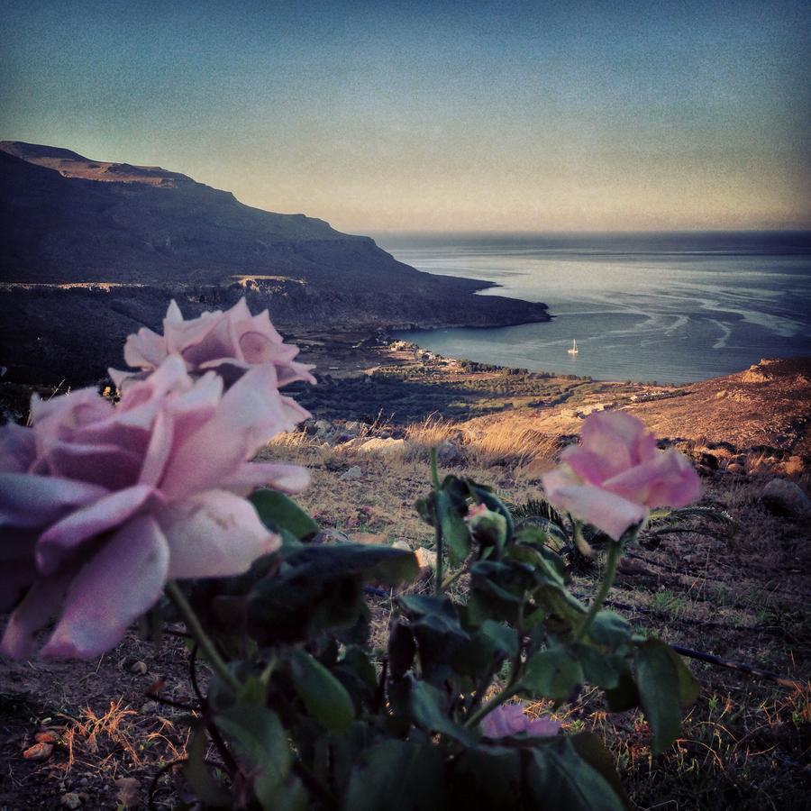 Villa Kalliopi Ιncreteble Cretan Resindences Collection Xerokampos  Eksteriør billede
