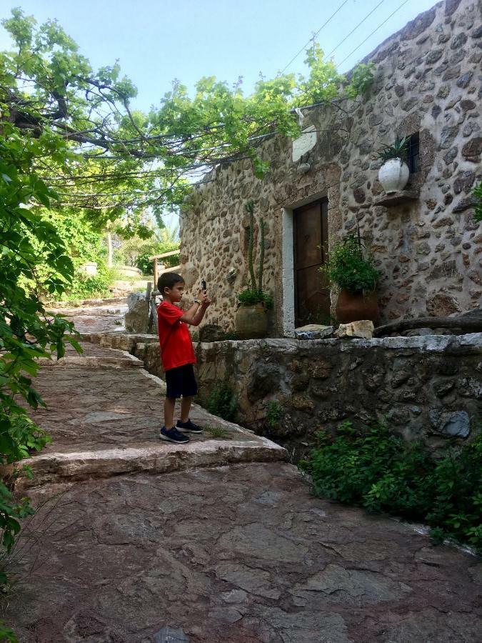 Villa Kalliopi Ιncreteble Cretan Resindences Collection Xerokampos  Eksteriør billede