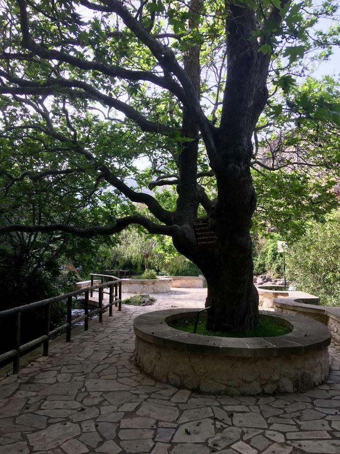 Villa Kalliopi Ιncreteble Cretan Resindences Collection Xerokampos  Eksteriør billede