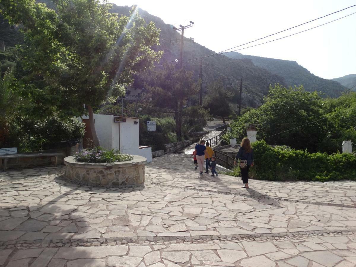 Villa Kalliopi Ιncreteble Cretan Resindences Collection Xerokampos  Eksteriør billede